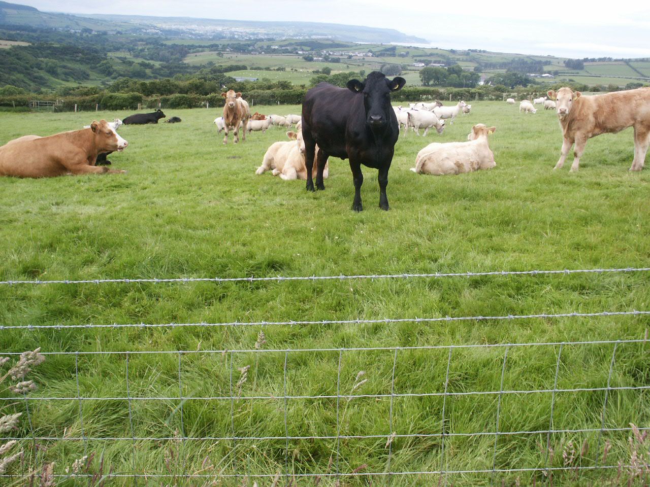 Maximising benefits from agricultural land