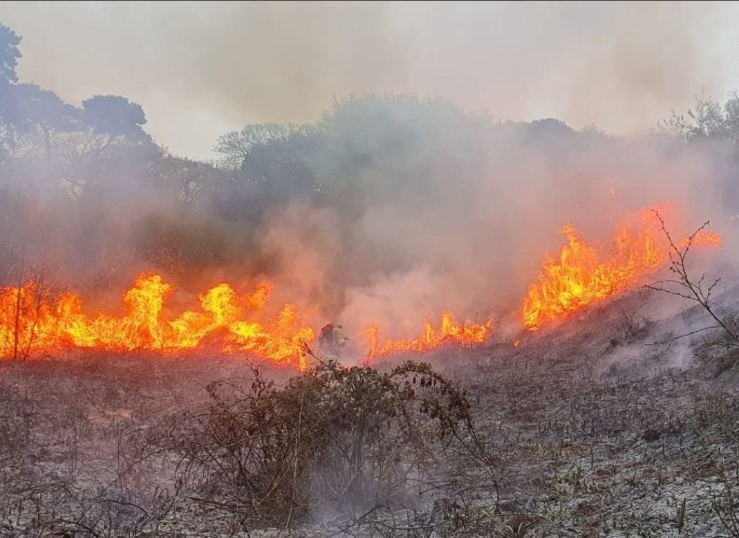 Fire risk notice issued due to dry conditions