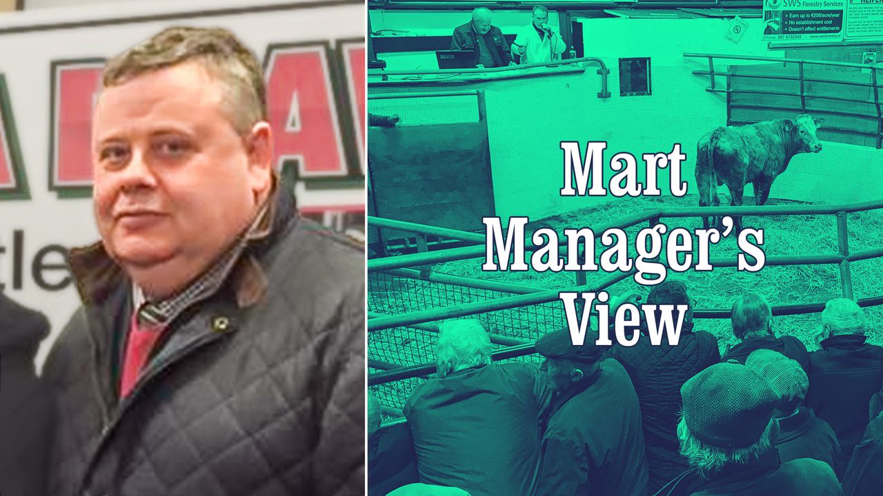 Top-quality dry cows exceed €2.00/kg at Castlerea Mart