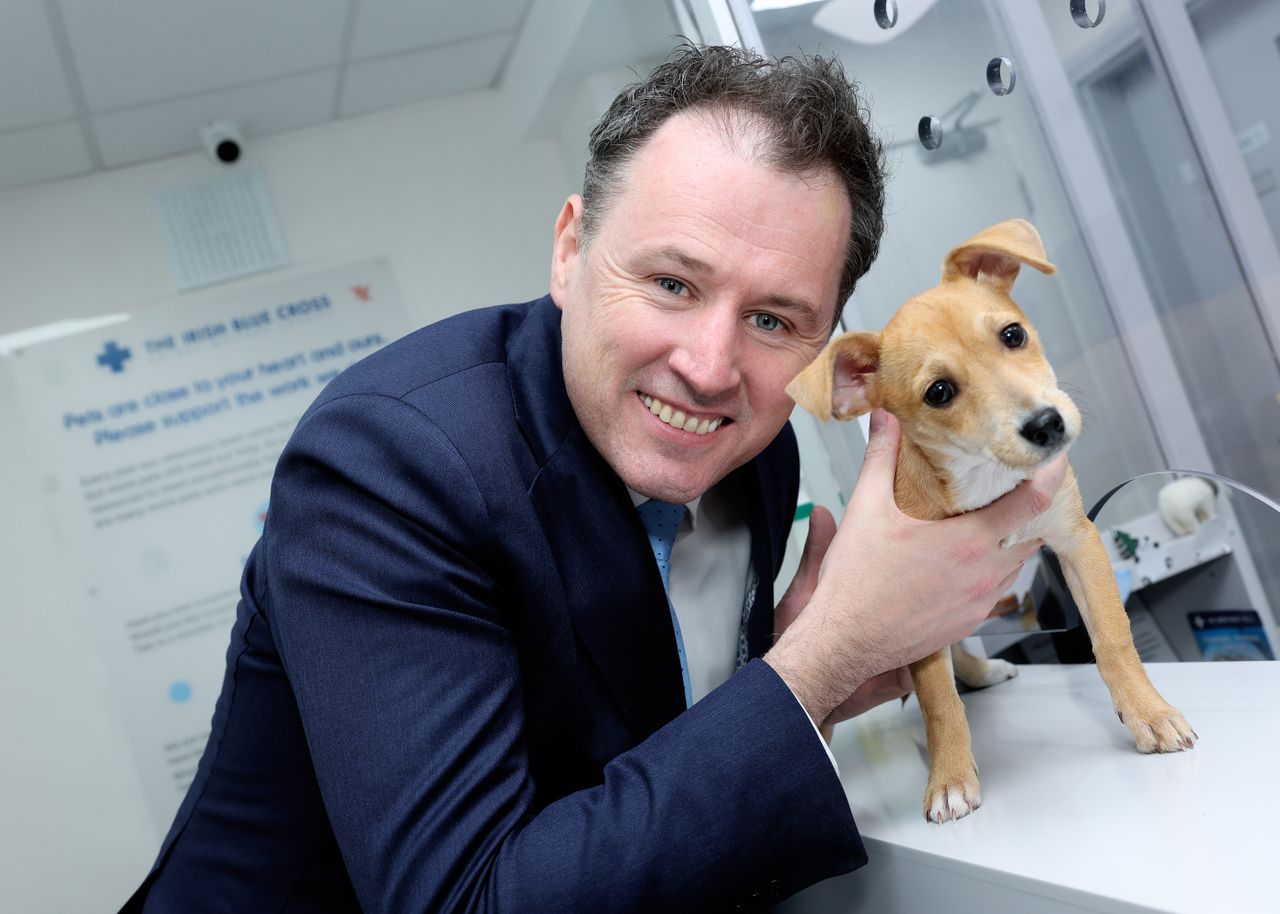Minister invites applications for animal welfare grants