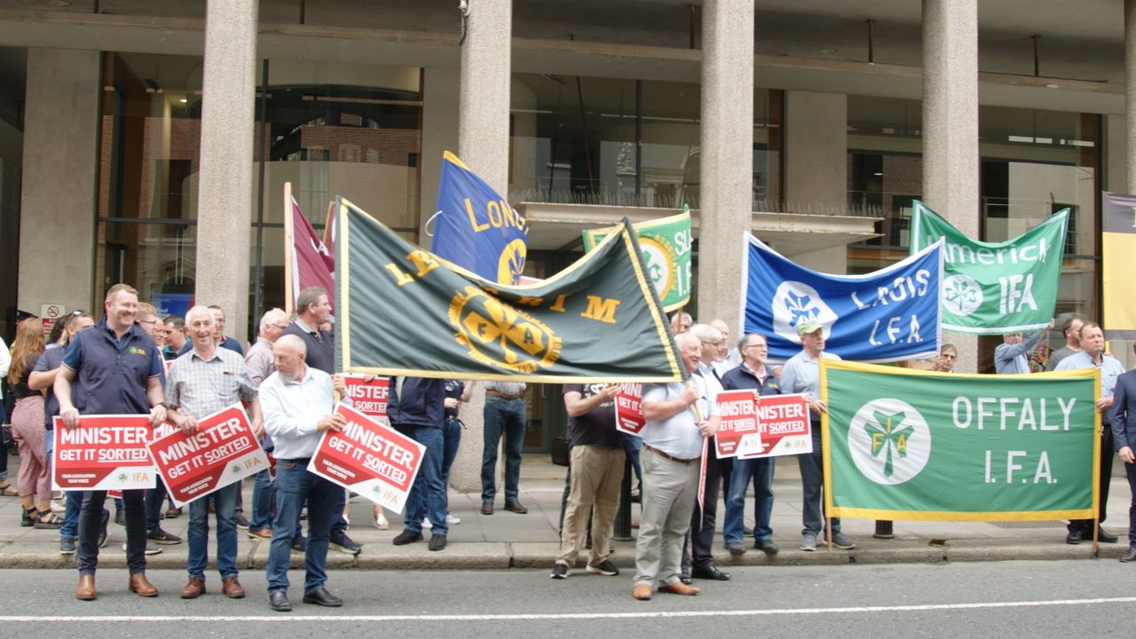 Watch: 'We've just had enough' - IFA protesters