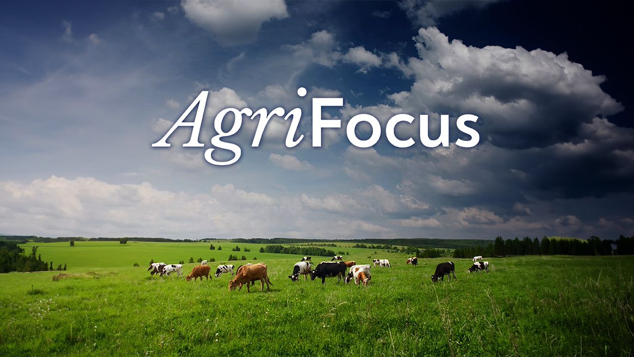 Agriland launches new AgriFocus podcast series