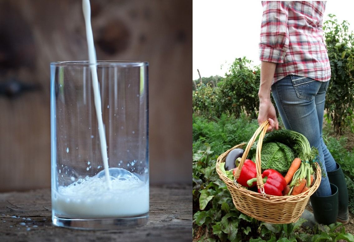 Ireland to receive €3.27 million from EU school fruit, veg and milk scheme