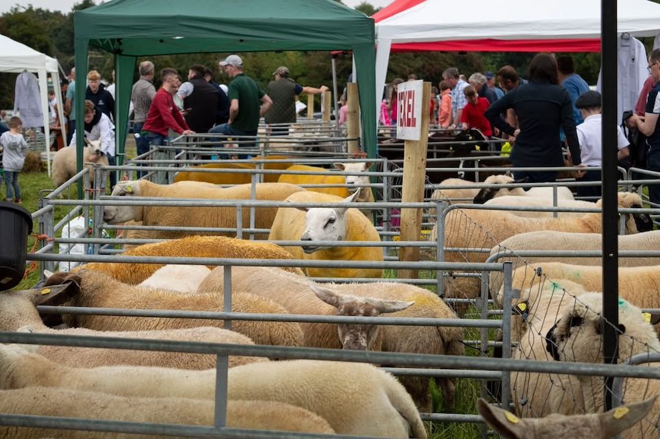 83rd Royal Meath Show taking moves to protect historic location
