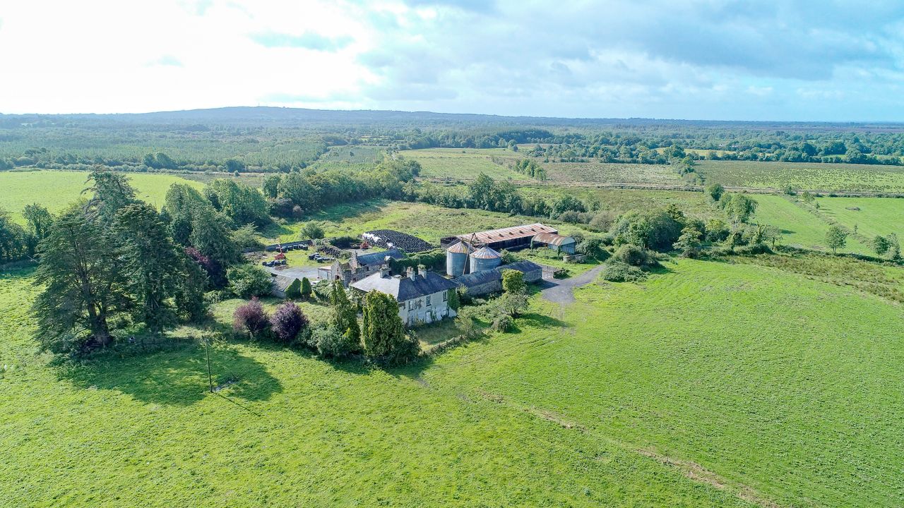 Video: Co. Longford residential farm on 192ac to go for public auction