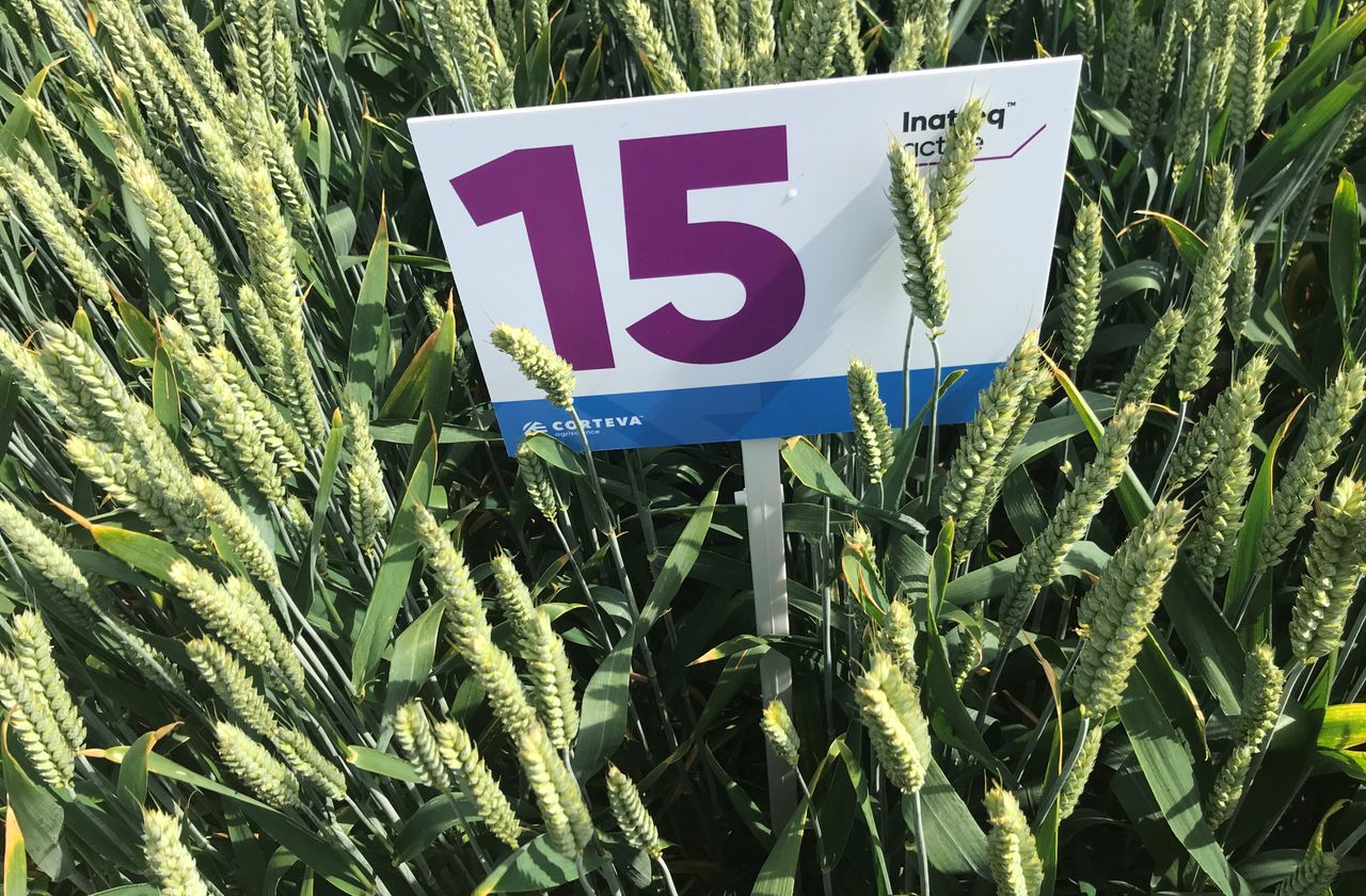 New fungicide registered and will be ready for use in 2021