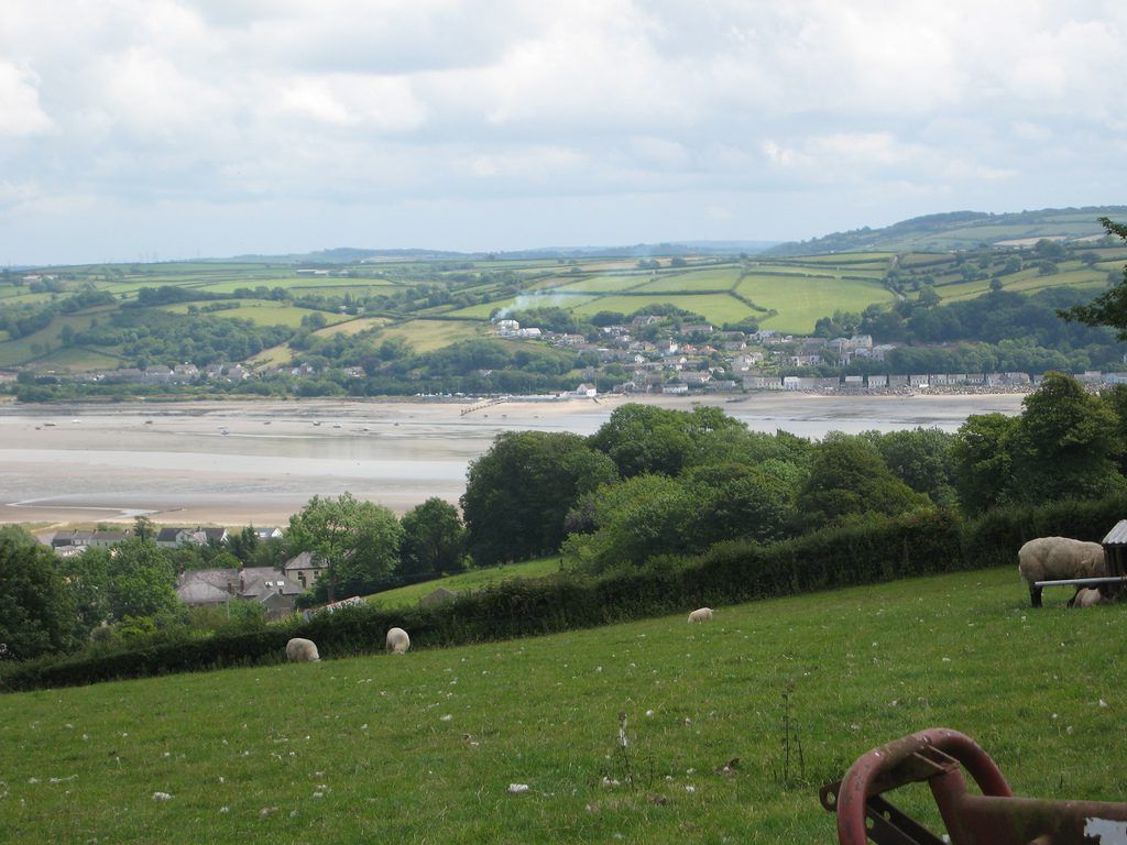 Welsh farmers must 'hold political feet to fire' on Brexit