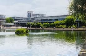 UCD in world top 100 universities for agriculture and forestry