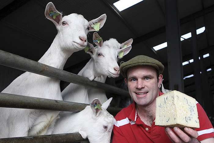 Awards roll in for Meath farmer's cheese enterprise