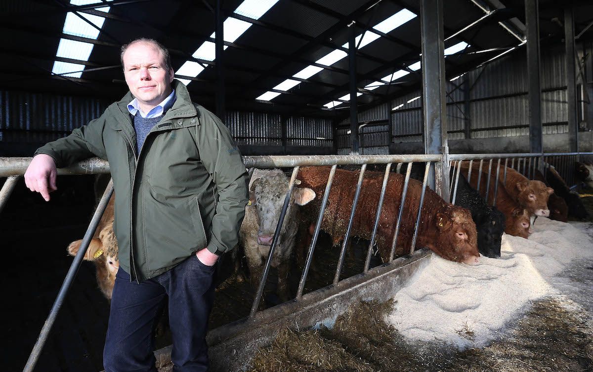 IFA Elections 2016: Henry Burns profile