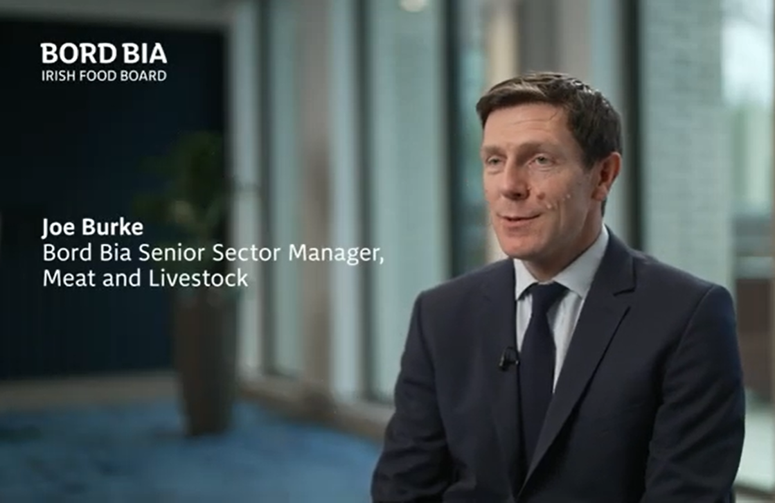 Watch: Irish cattle supplies set 'to tighten further' in 2024