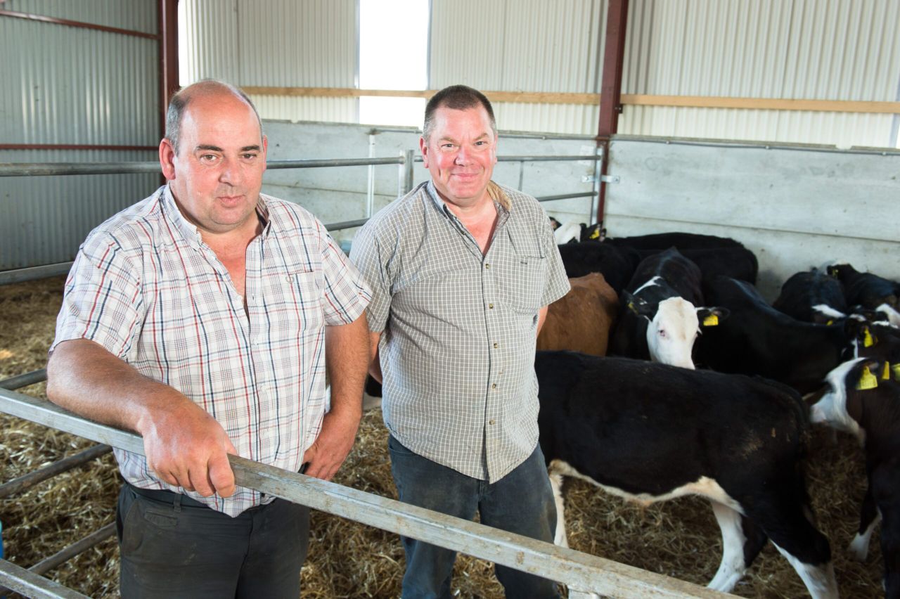 Countdown on to the NI Beef Expo - NI's biggest technical beef event
