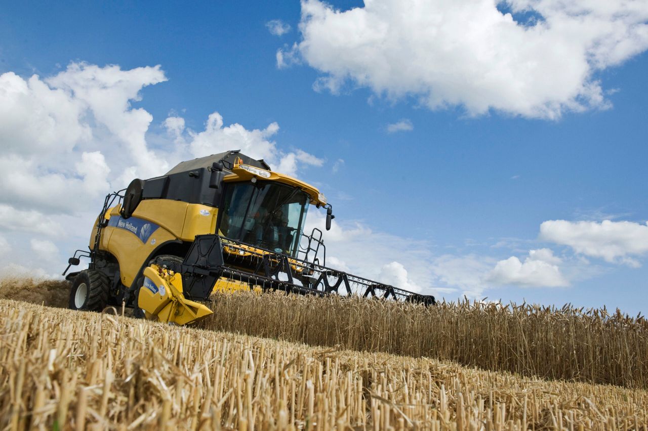 Russian grain production may fall 40% if weather takes its toll