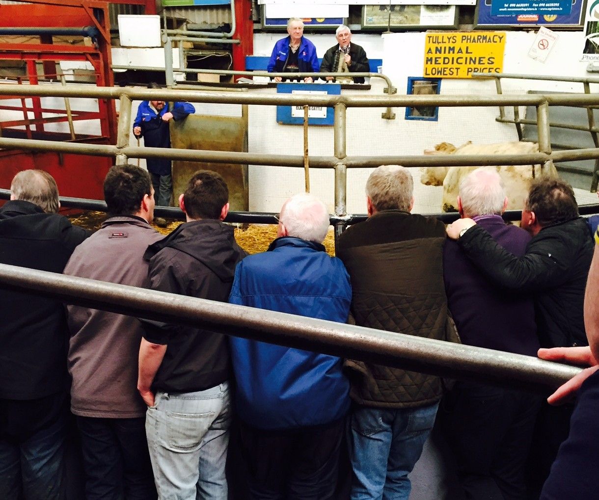 10 characters at every mart - Which one are you and who to avoid?