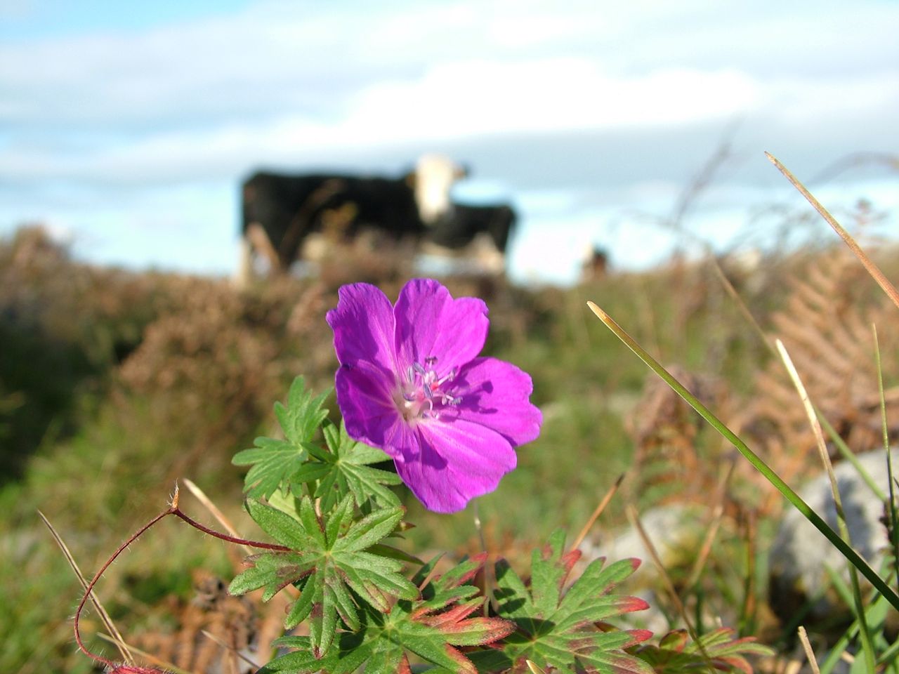 Public encouraged to vote in Farming for Nature awards
