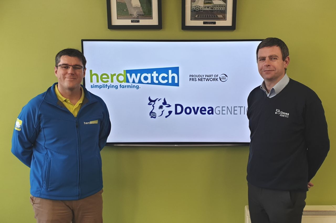 New app from Herdwatch as it enters 'strategic partnership' with Dovea Genetics