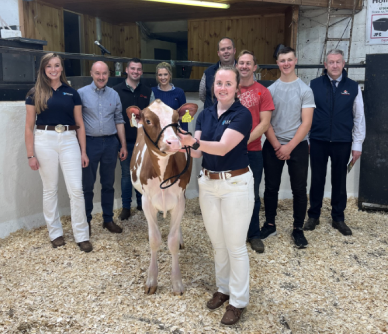 8600gns achieved at the Promise of Protein Sale
