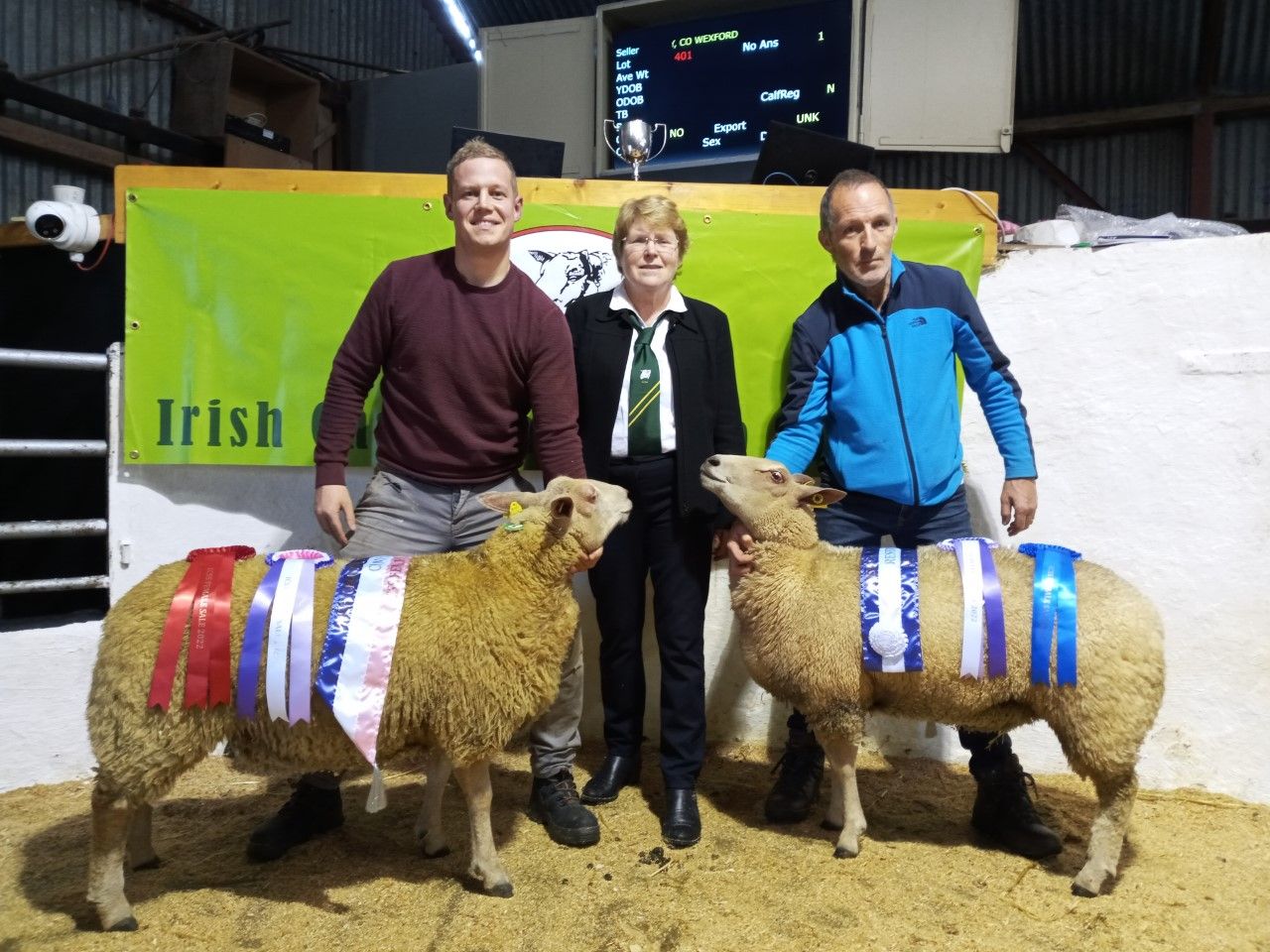 Roscommon ewe lamb named champion at Charollais female sale