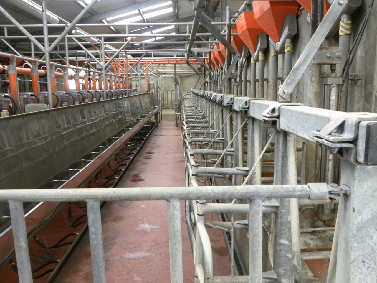 Dairy farmers encouraged to manage production in February and March