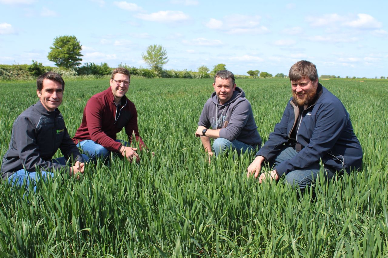 Trials to control blackgrass underway in the UK