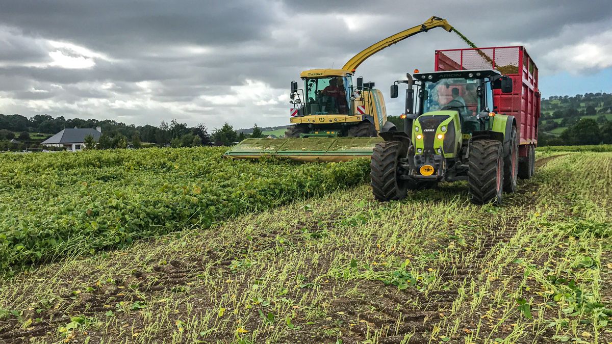 Look back: Wholecrop soybean harvest in Co. Wicklow