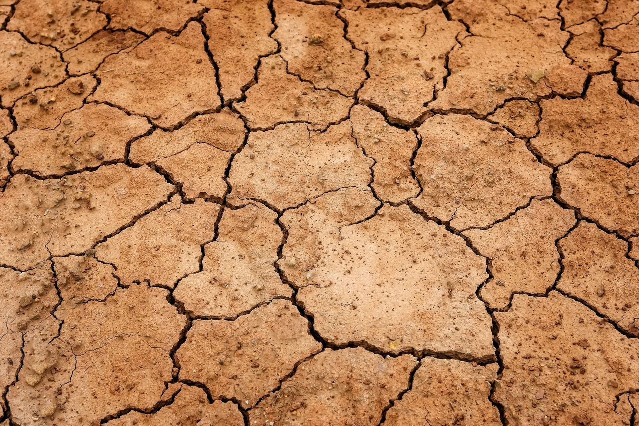 Ireland to provide €30m in response to food crisis in east Africa