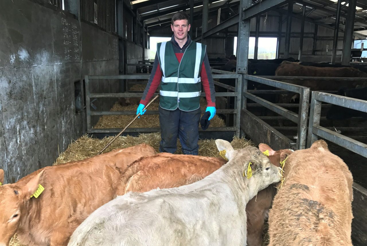 Beef focus: Maximising profits by driving efficiency in Co. Meath