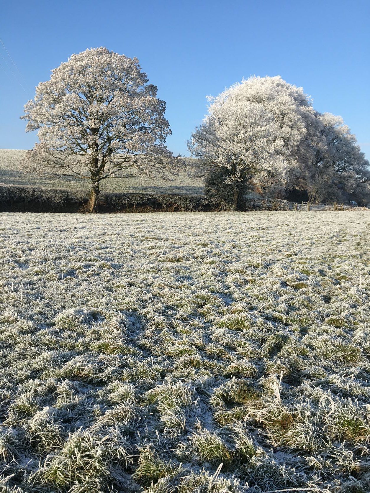 How can farmers prepare for wintry conditions?