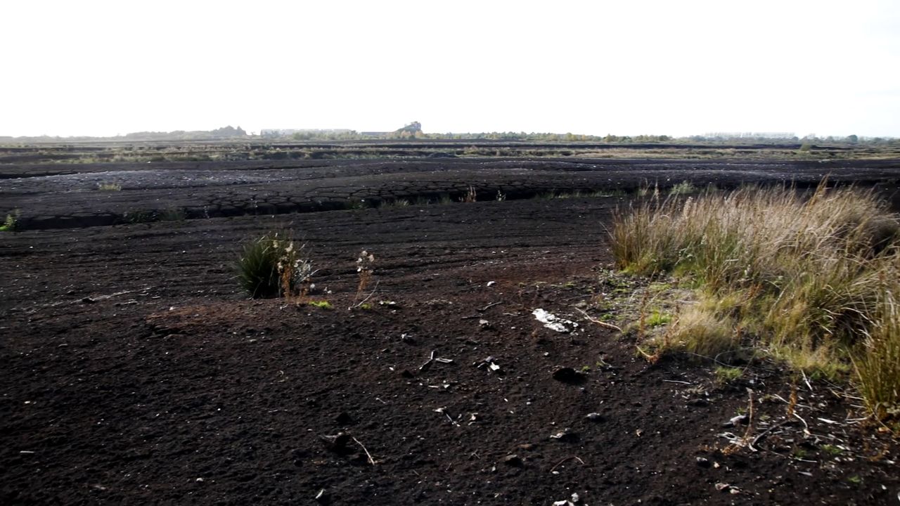 Bord na Móna gives little away on prospect of written agreement with landowners