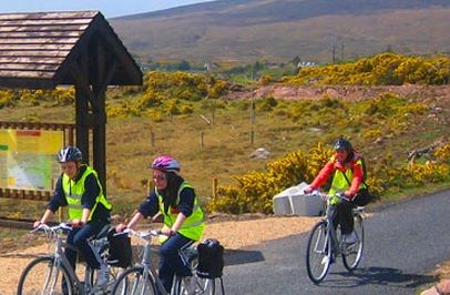 €10,000 in funding approved for controversial Dublin to Galway greenway