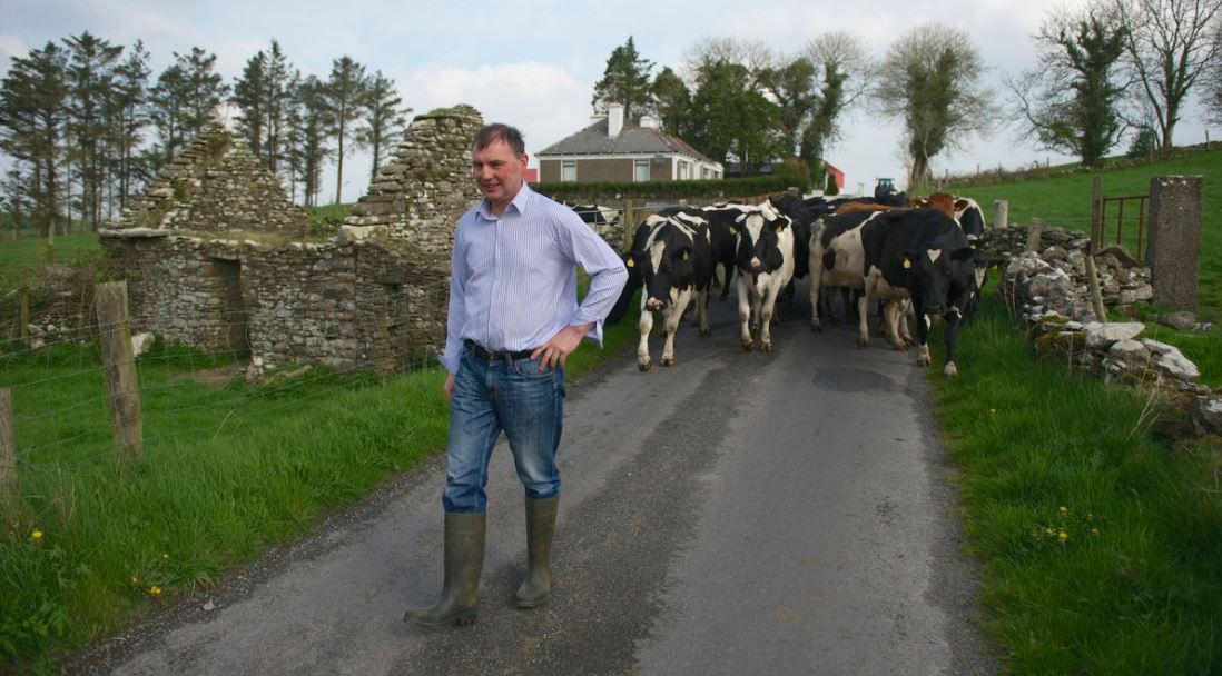 Comer: 'It would've been good for Fianna Fail to bring in an outsider'