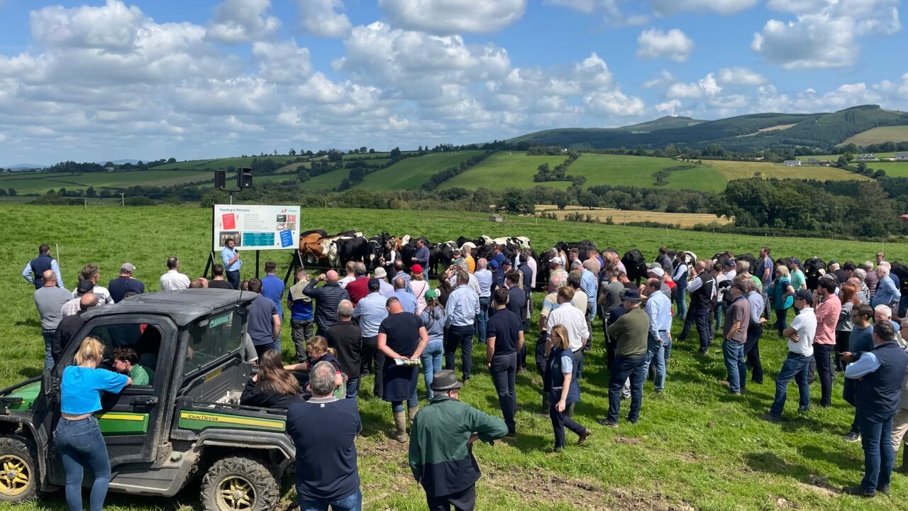 ABP Demo Farm 2024 open day set for September 11