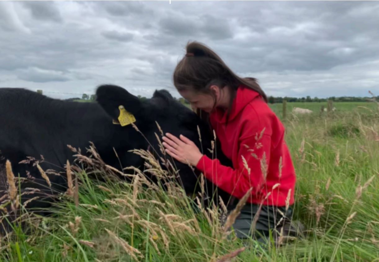 Angus competition encourages schoolgirls to take up part-time farm work