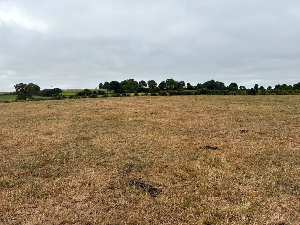 Grass growth has stalled with the dry weather