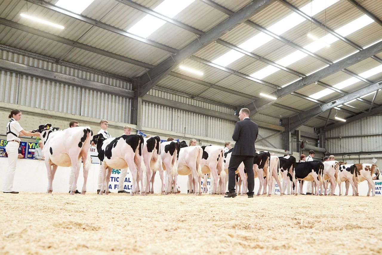 Carlow/Kilkenny handler takes IHFA YMA title at Cillin Hill Mart