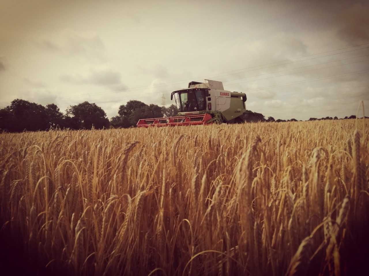 Harvest update: Mixed reports on yield as winter barley wraps up in midlands