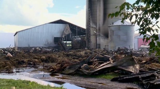 Video: Fire on family-run dairy farm kills 160 cows