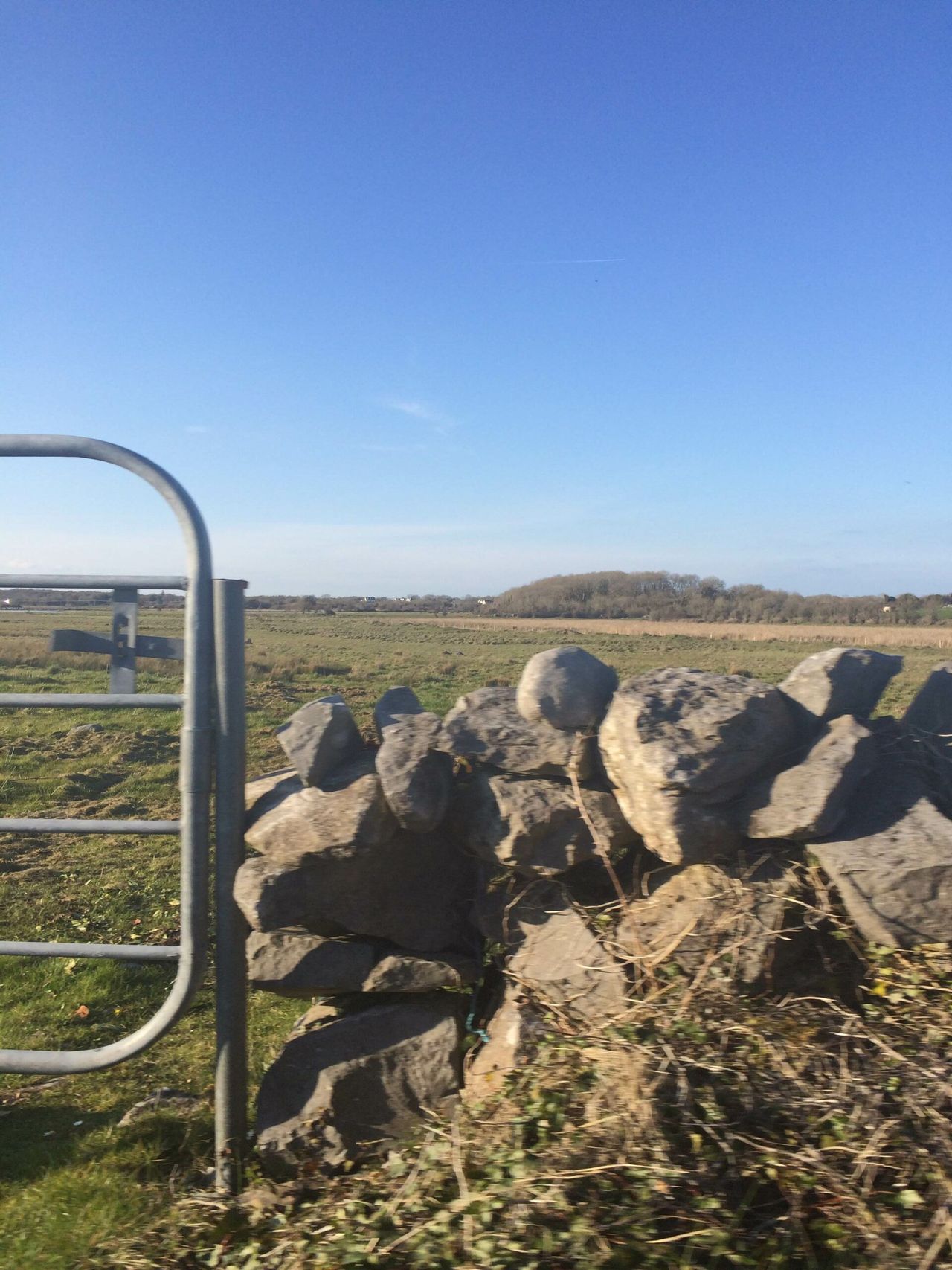 Cold and showery start to the week but milder weather on the way - Met Eireann
