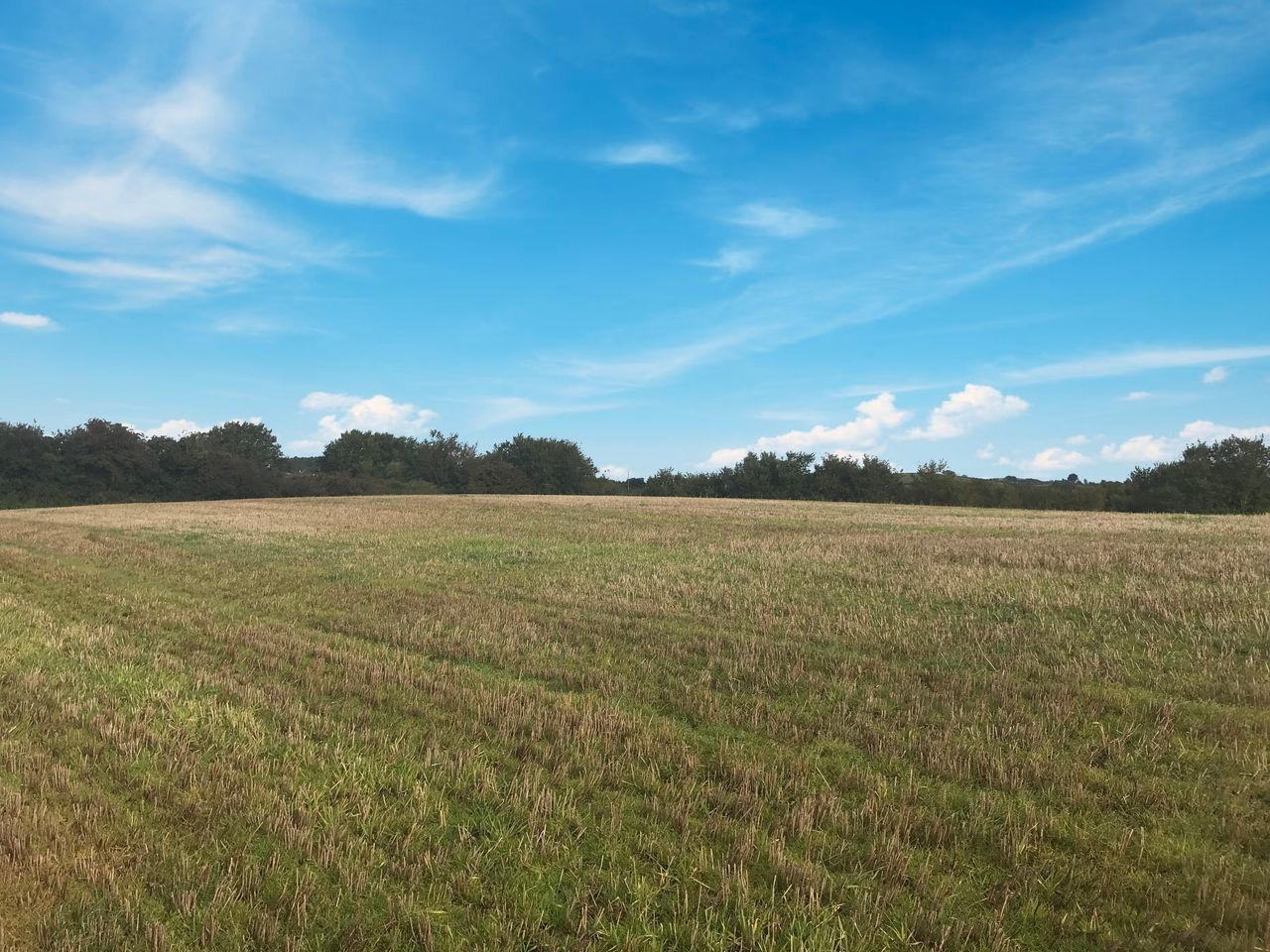 14ac roadside holding in Blackwater, Co. Wexford, for auction