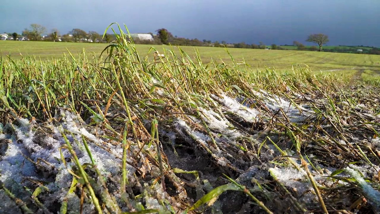 Mixed weather to continue with sleet and snow likely