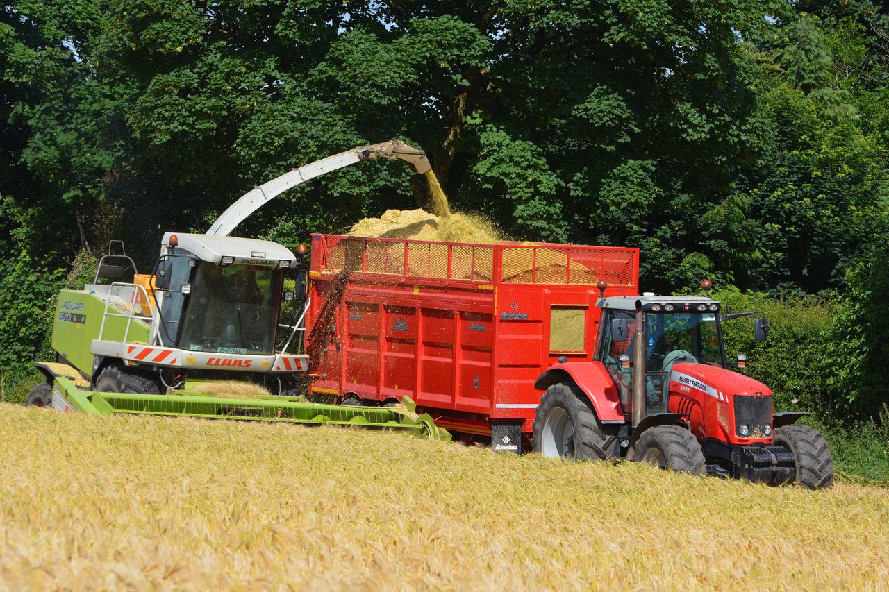 Wholecrop silage: An option for livestock and tillage farmers?