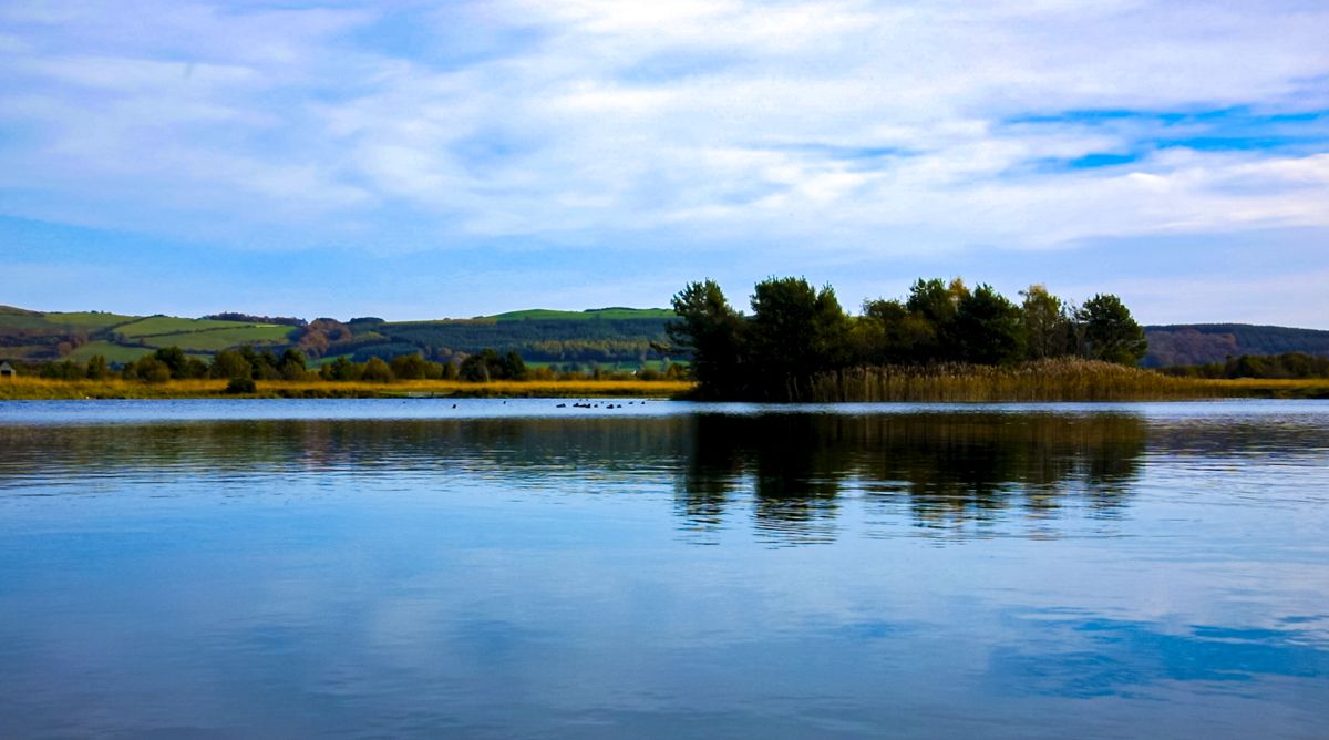 Study: Naturally occurring  lake bacteria can help remove plastic pollution
