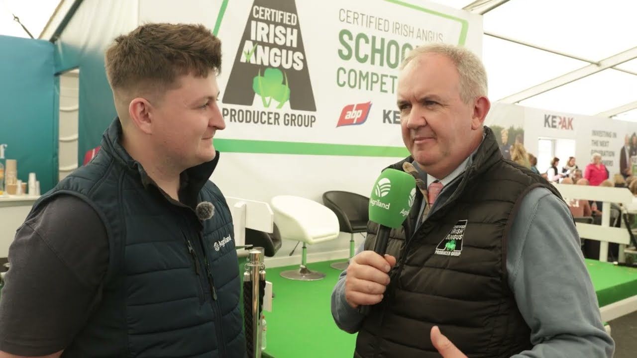 Certified Irish Angus Schools Competition at Ploughing 2026