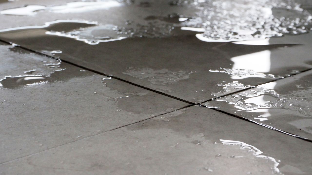 Burst water pipes cause 'significant' damage to DAFM offices