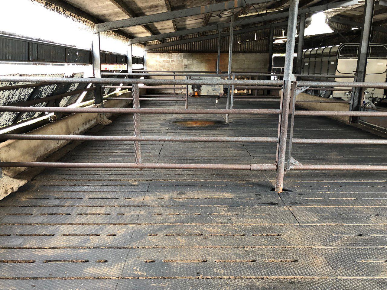 Floor type: 'Rubber mats seem to be a happy medium'