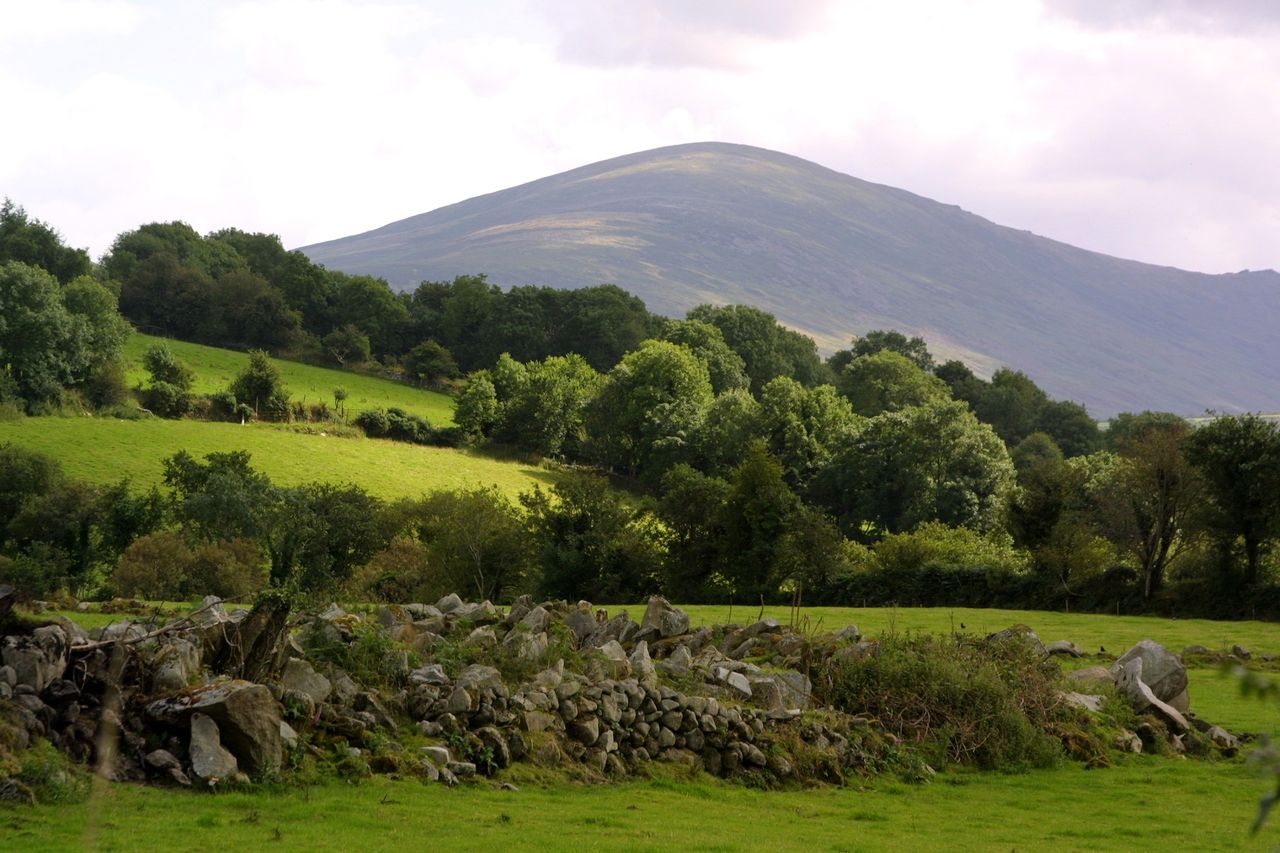 Carlow event to focus on farming in the Blackstairs Mountains