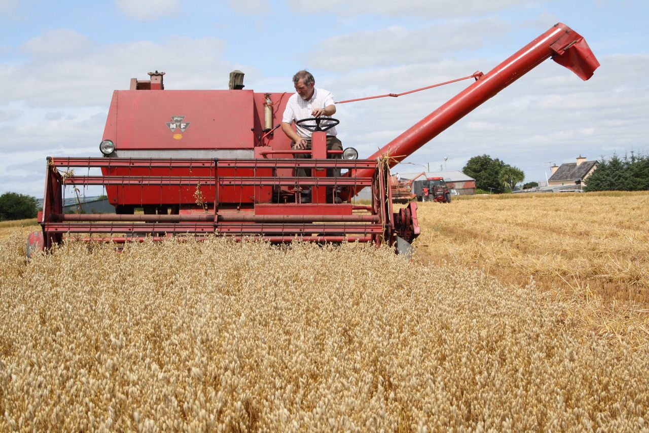 See machinery from the 1940s put through its paces at the Autumn Harvest Extravaganza