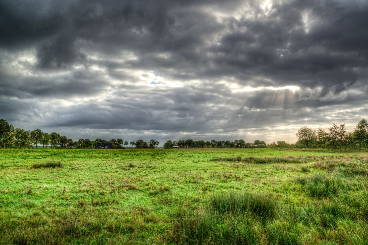 Over 200 farmers send 'enough is enough' message from Wexford meeting