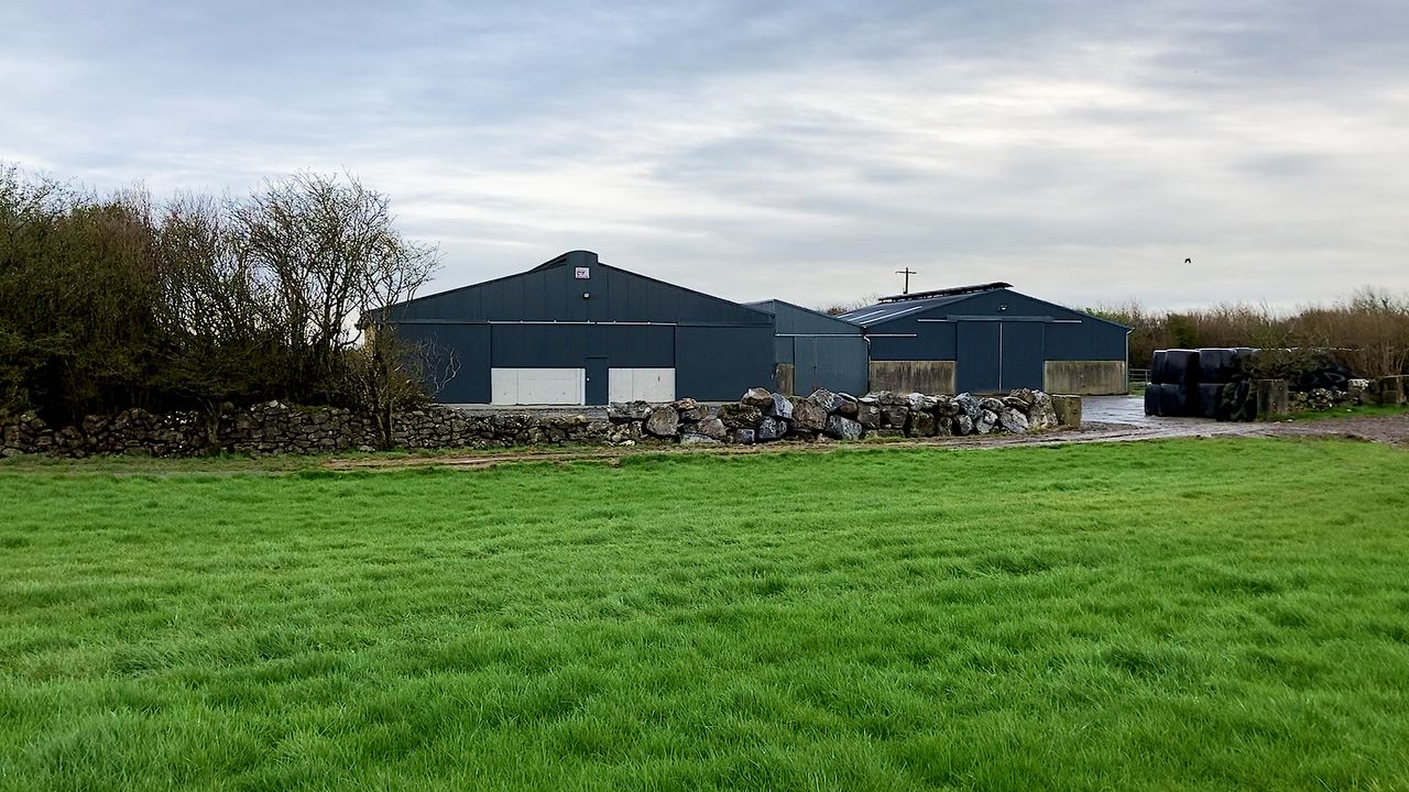 Sheds and outhouses could be used to calculate property tax - Tóibín