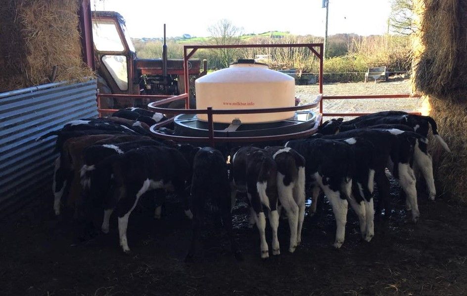 Could this innovative gate work for you next spring?